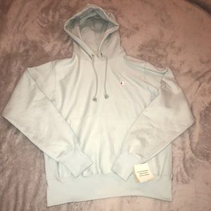 teal champion sweatshirt